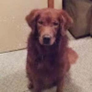 Meet your Posher, Kristen